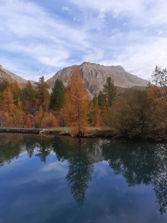 Chalet Miel De La Cayolle-Estenc Entraunes Exteriör bild